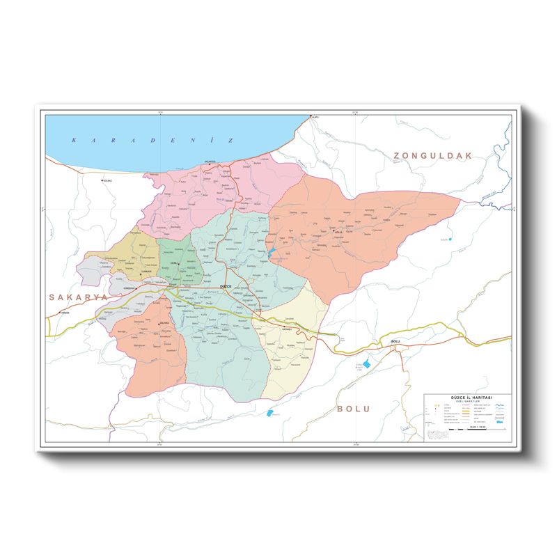 Düzce - İl Haritası Kanvas Tablo