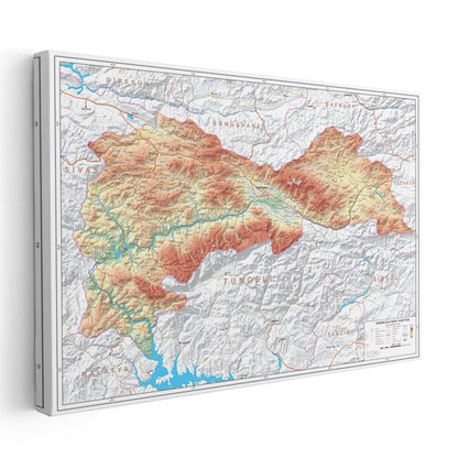 Erzincan - Fiziki Haritası Kanvas Tablo