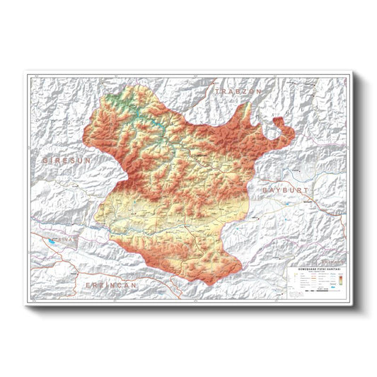 Gümüşhane - Fiziki Haritası Kanvas Tablo