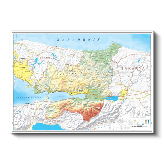 Kocaeli - Fiziki Haritası Kanvas Tablo