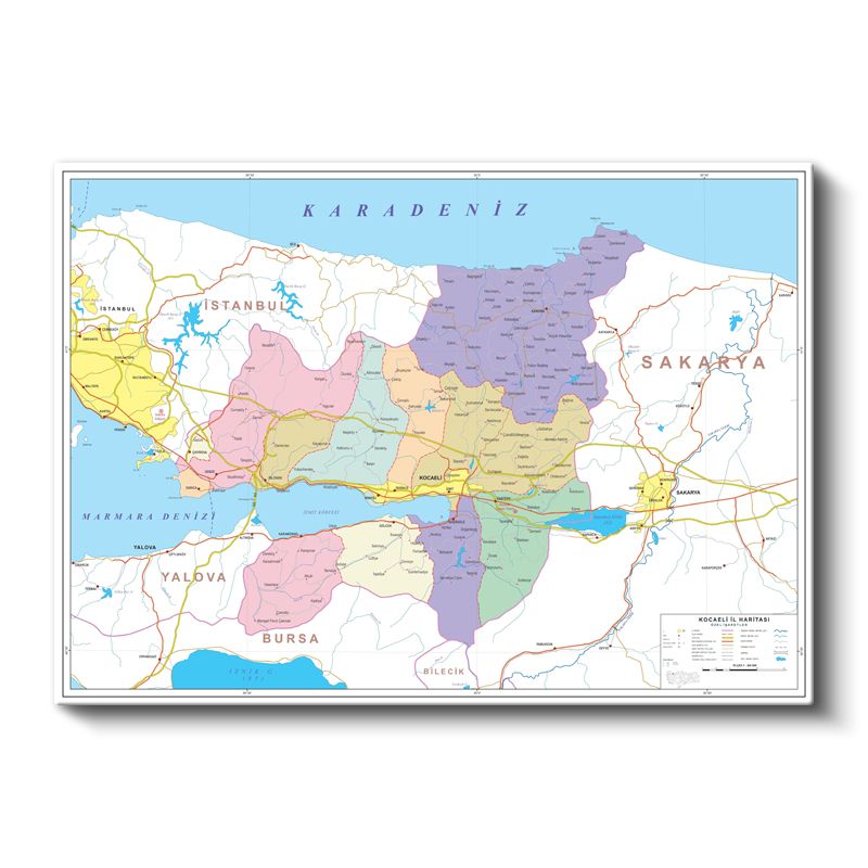 Kocaeli - İl Haritası Kanvas Tablo