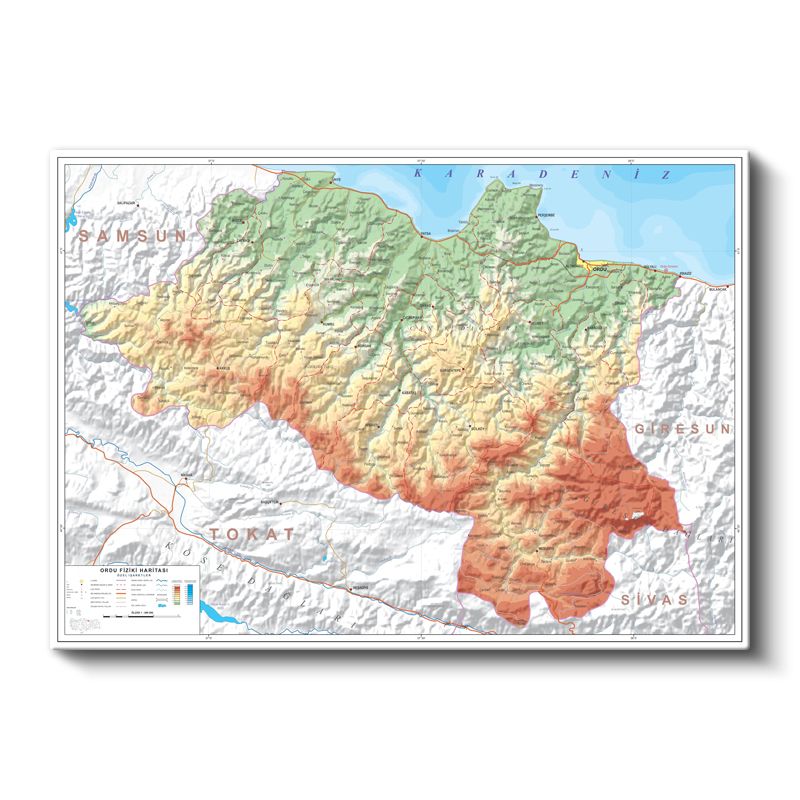 Ordu - Fiziki Haritası Kanvas Tablo