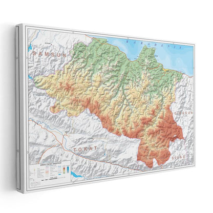 Ordu - Fiziki Haritası Kanvas Tablo