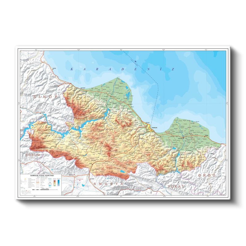 Samsun - Fiziki Haritası Kanvas Tablo