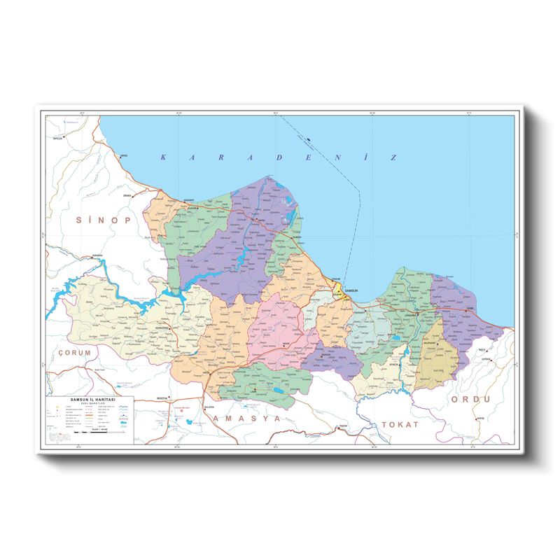 Samsun - İl Haritası Kanvas Tablo