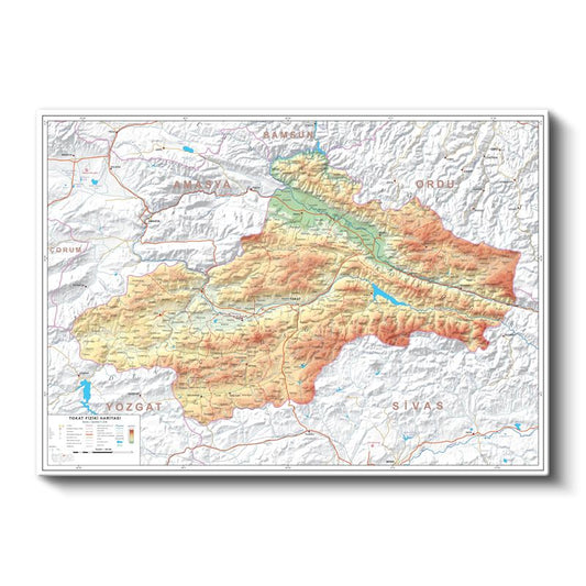 Tokat - Fiziki Haritası Kanvas Tablo