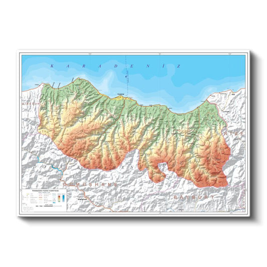 Trabzon - Fiziki Haritası Kanvas Tablo