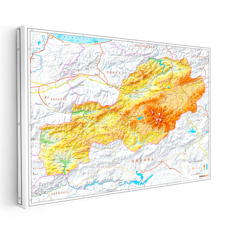 Yatay Kanvas Tablo Bolu Doğal Oluşum Harita Tablosu Ev Ofis Duvar Dekoru