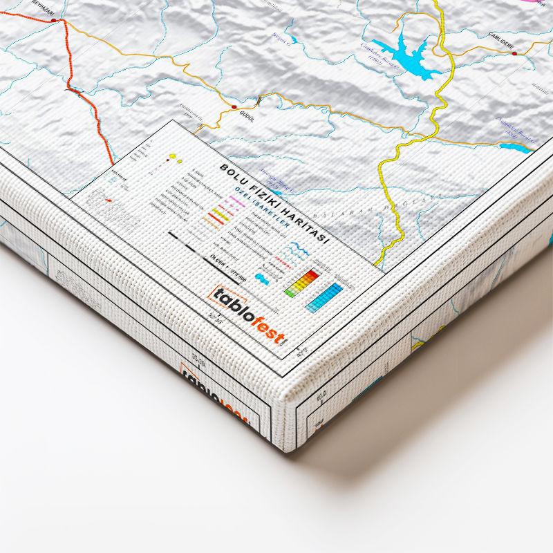 Yatay Kanvas Tablo Bolu Doğal Oluşum Harita Tablosu Ev Ofis Duvar Dekoru