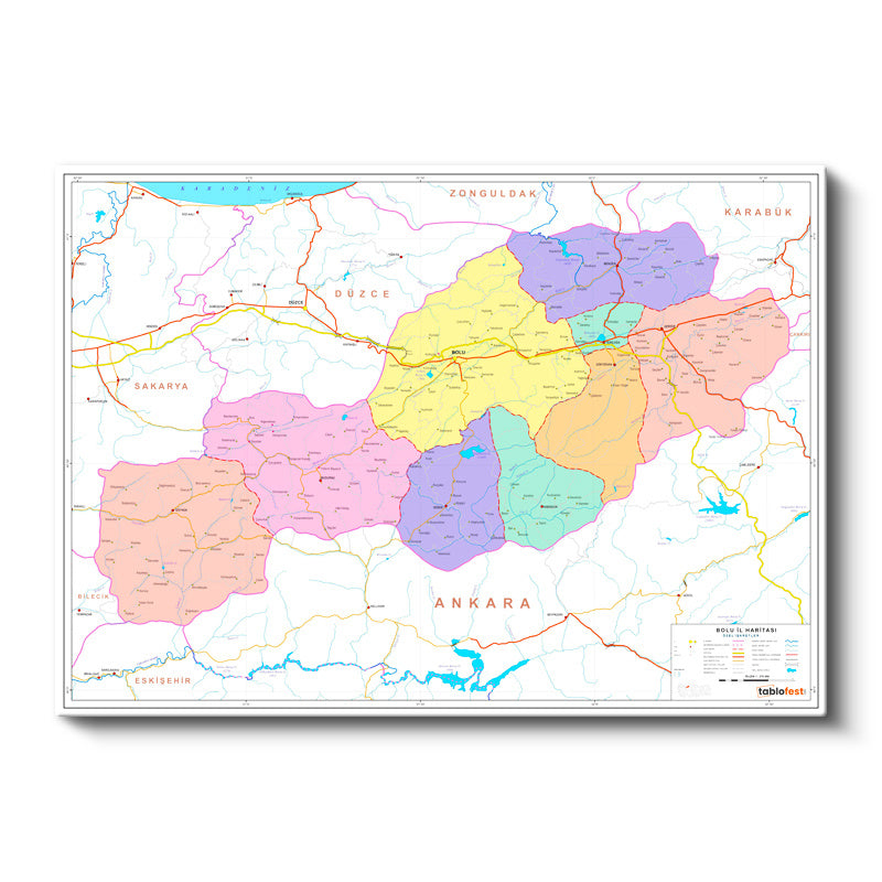 Yatay Kanvas Tablo Bolu İlçe Sınırları Harita Tablosu Ev Ofis Duvar Dekoru
