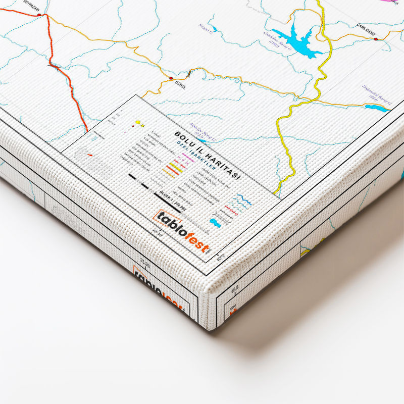 Yatay Kanvas Tablo Bolu İlçe Sınırları Harita Tablosu Ev Ofis Duvar Dekoru