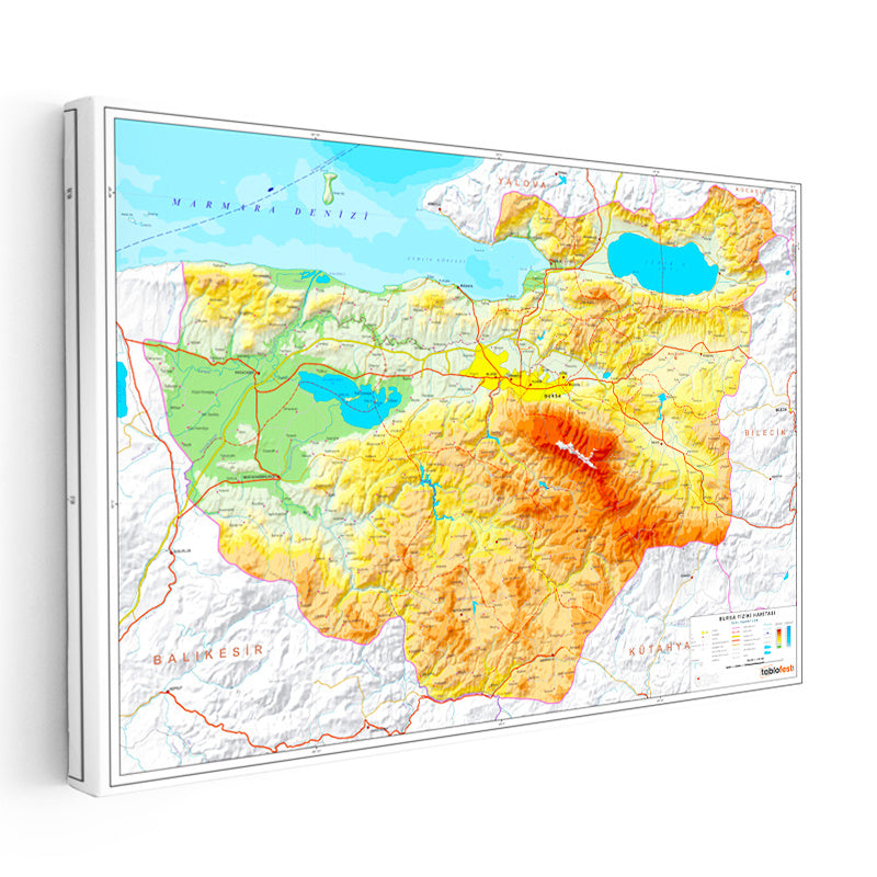 Yatay Kanvas Tablo Bursa Fiziki Yeryüzü Harita Tablosu Ev Ofis Duvar Dekoru