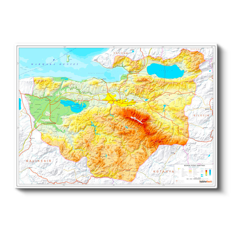 Yatay Kanvas Tablo Bursa Fiziki Yeryüzü Harita Tablosu Ev Ofis Duvar Dekoru