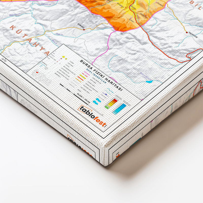 Yatay Kanvas Tablo Bursa Fiziki Yeryüzü Harita Tablosu Ev Ofis Duvar Dekoru