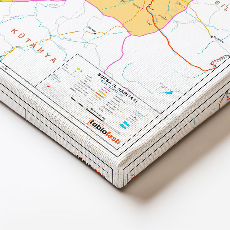 Yatay Kanvas Tablo Bursa İdari Sınırlar Harita Tablosu Ev Ofis Duvar Dekoru