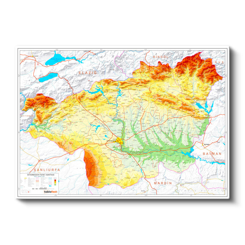 Yatay Kanvas Tablo Diyarbakır Arazi Şekli Harita Tablosu Ev Ofis Duvar Dekoru
