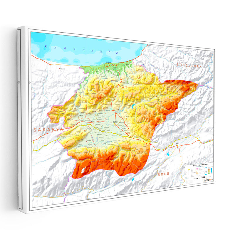Yatay Kanvas Tablo Düzce Doğal Oluşum Harita Tablosu Ev Ofis Duvar Dekoru