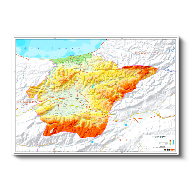 Yatay Kanvas Tablo Düzce Doğal Oluşum Harita Tablosu Ev Ofis Duvar Dekoru