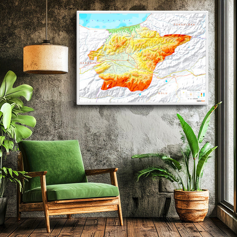 Yatay Kanvas Tablo Düzce Doğal Oluşum Harita Tablosu Ev Ofis Duvar Dekoru