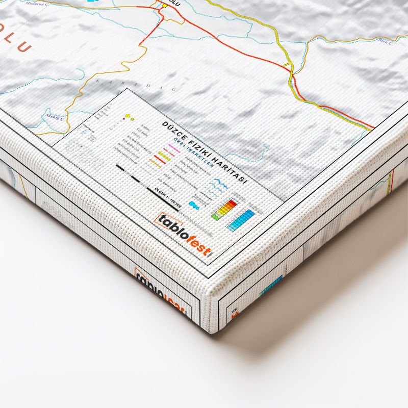 Yatay Kanvas Tablo Düzce Doğal Oluşum Harita Tablosu Ev Ofis Duvar Dekoru