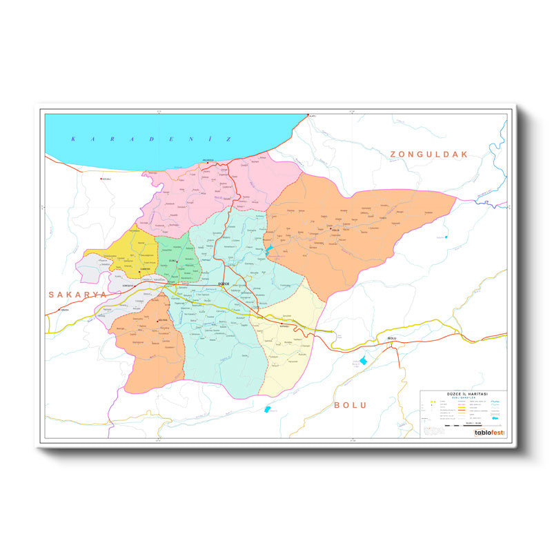 Yatay Kanvas Tablo Düzce Yerleşim Düzeni Harita Tablosu Ev Ofis Duvar Dekoru