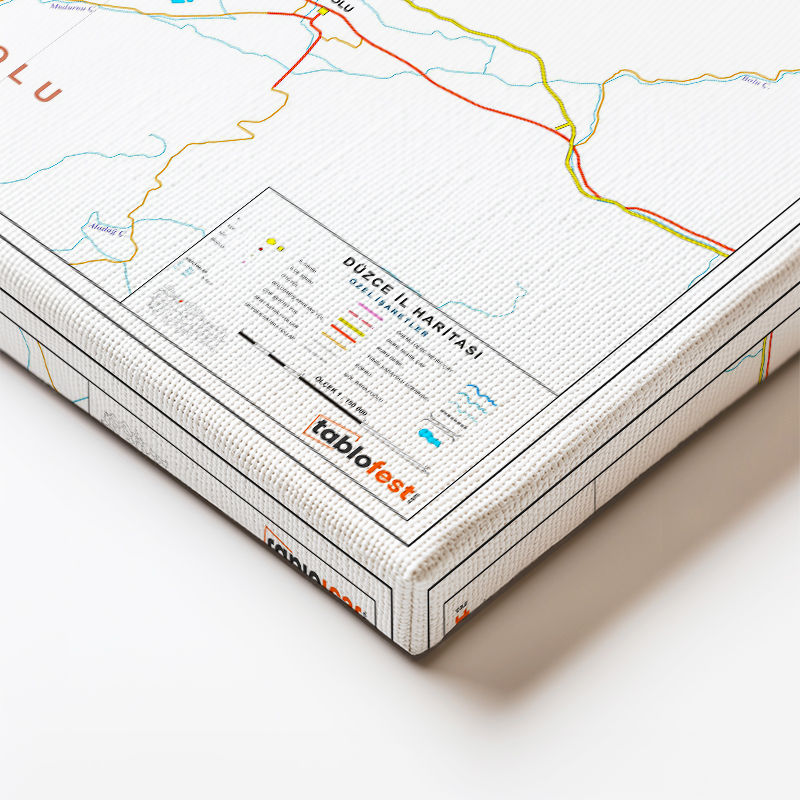 Yatay Kanvas Tablo Düzce Yerleşim Düzeni Harita Tablosu Ev Ofis Duvar Dekoru