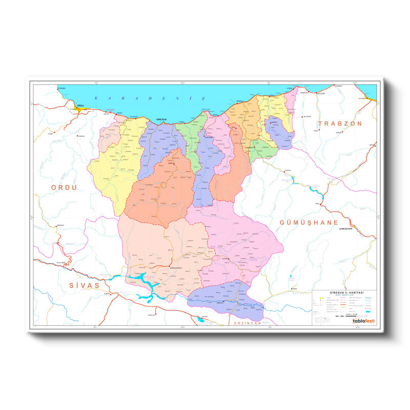 Yatay Kanvas Tablo Giresun İdari Bölümler Harita Tablosu Ev Ofis Duvar Dekoru
