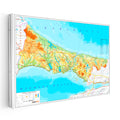 Yatay Kanvas Tablo İstanbul Topografik Yapı Harita Tablosu Ev Ofis Duvar Dekoru
