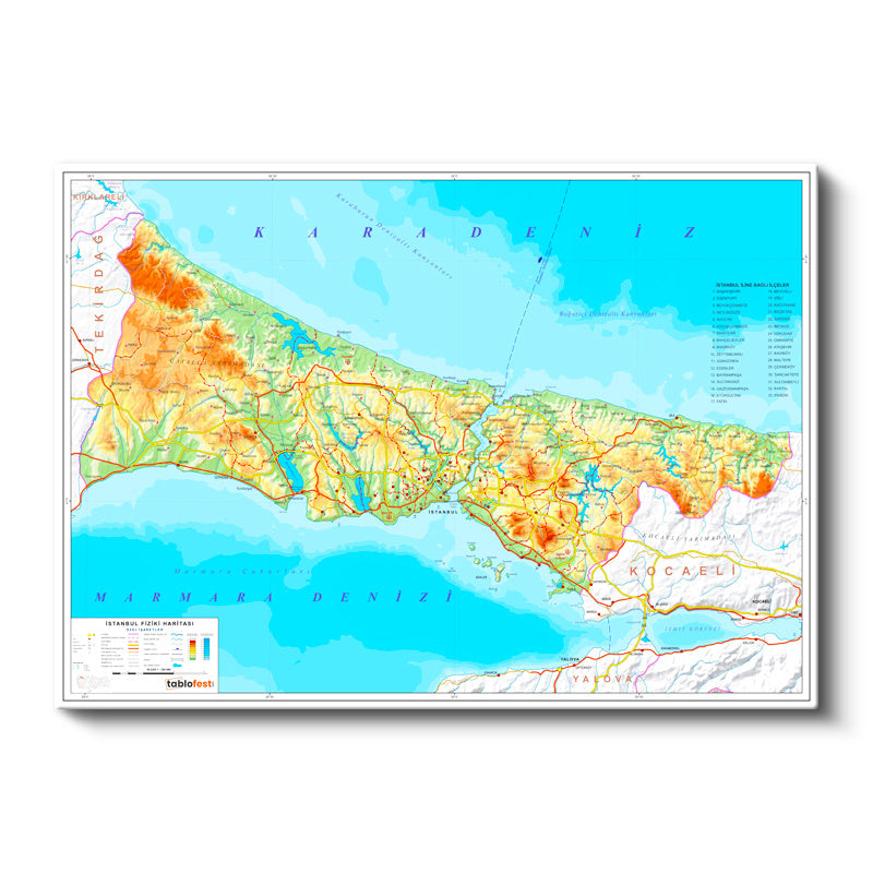 Yatay Kanvas Tablo İstanbul Topografik Yapı Harita Tablosu Ev Ofis Duvar Dekoru