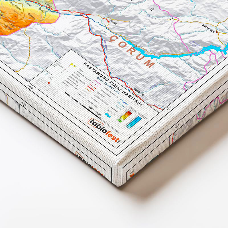 Yatay Kanvas Tablo Kastamonu Coğrafi Yapı Harita Tablosu Ev Ofis Duvar Dekoru