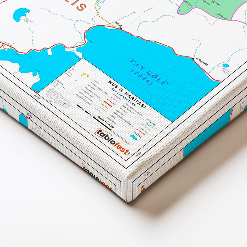 Yatay Kanvas Tablo Muş Siyasi Sınır Harita Tablosu Ev Ofis Duvar Dekoru