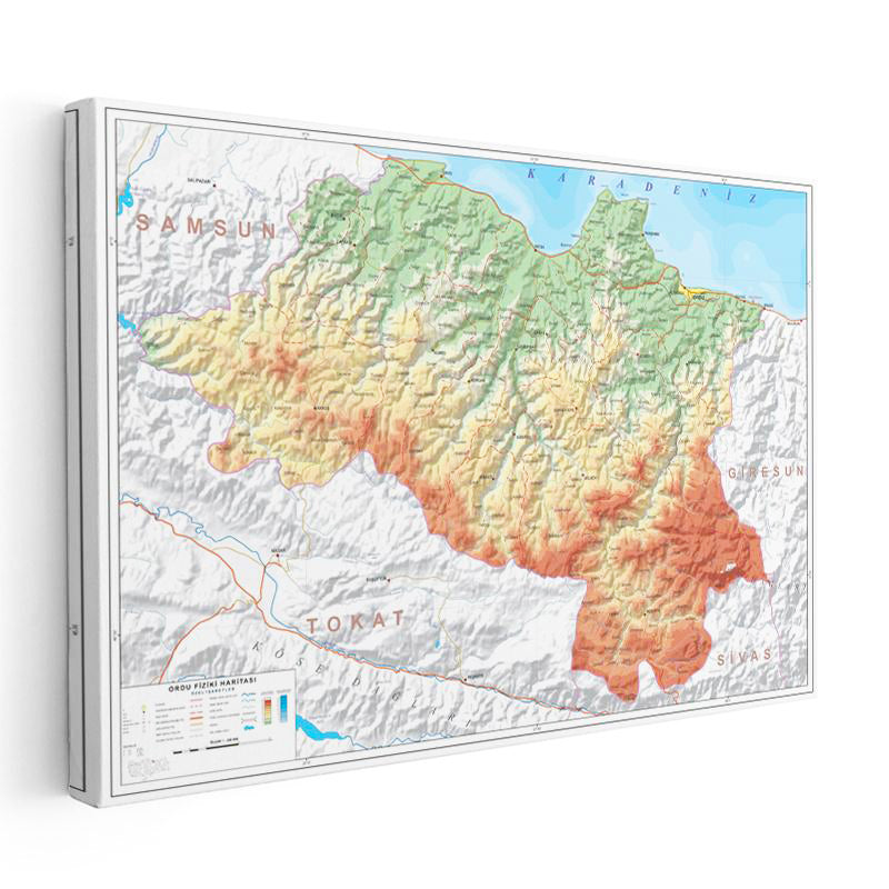 Yatay Kanvas Tablo Ordu Doğal Oluşum Harita Tablosu Ev Ofis Duvar Dekoru