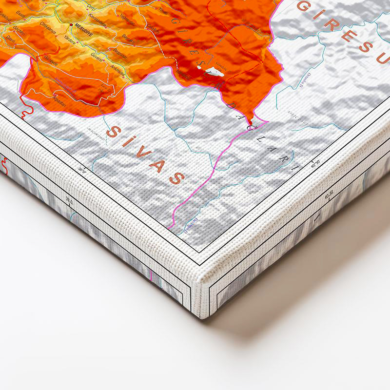 Yatay Kanvas Tablo Ordu Doğal Oluşum Harita Tablosu Ev Ofis Duvar Dekoru