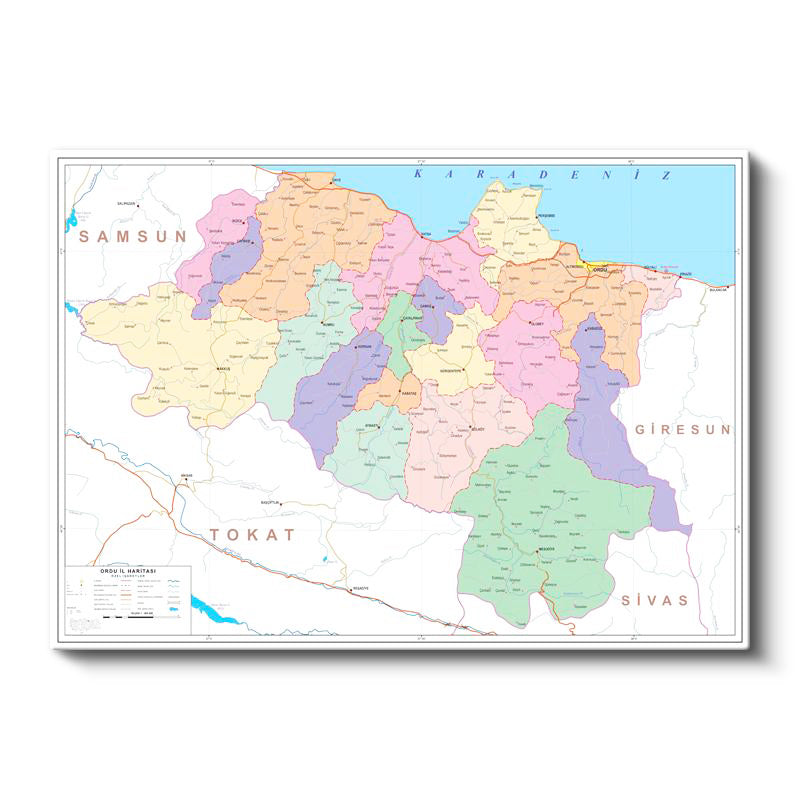 Yatay Kanvas Tablo Ordu Mülki İdare Harita Tablosu Ev Ofis Duvar Dekoru