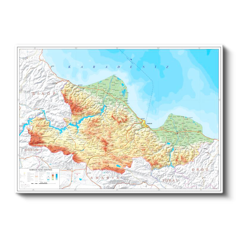 Yatay Kanvas Tablo Samsun Arazi Şekilleri Harita Tablosu Ev Ofis Duvar Dekoru