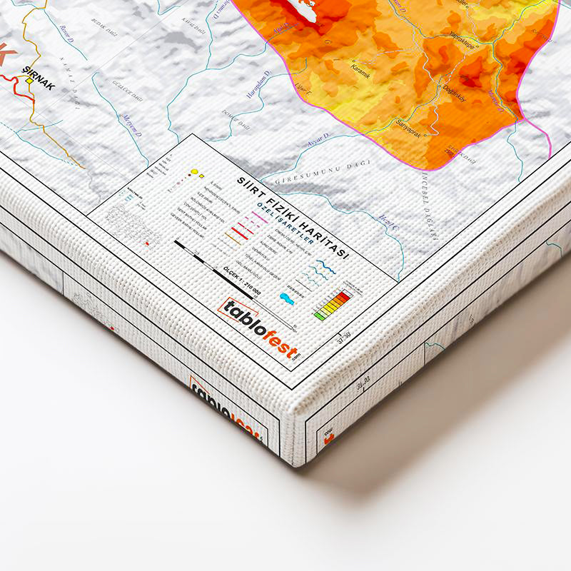 Yatay Kanvas Tablo Siirt Fiziki Yeryüzü Harita Tablosu Ev Ofis Duvar Dekoru