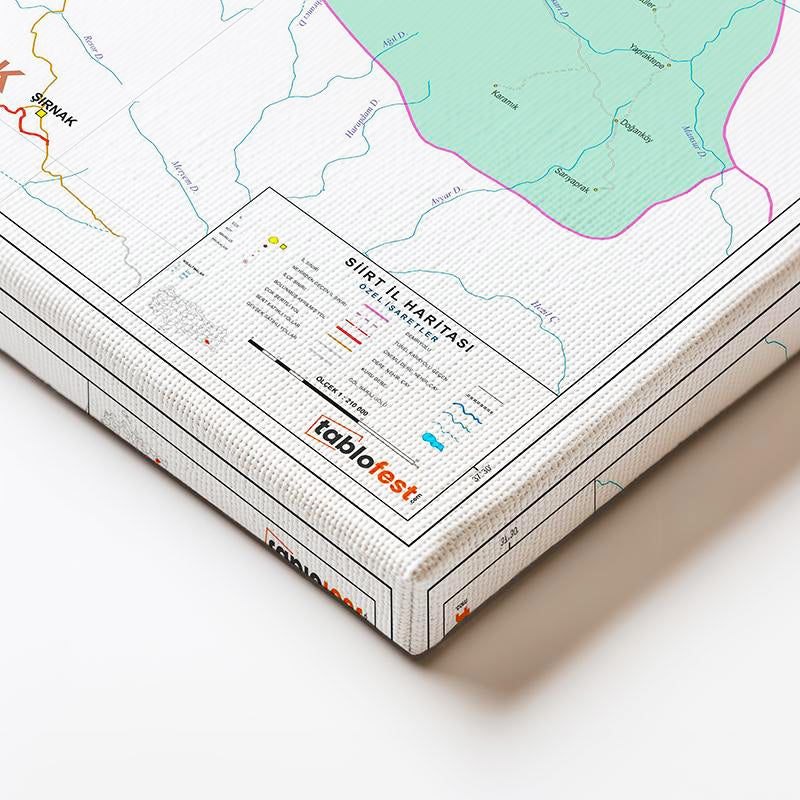 Yatay Kanvas Tablo Siirt İdari Bölümler Harita Tablosu Ev Ofis Duvar Dekoru