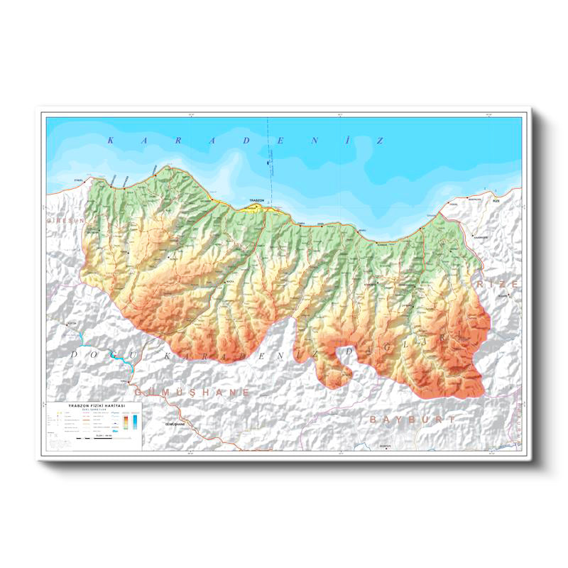 Yatay Kanvas Tablo Trabzon Coğrafi Yapı Harita Tablosu Ev Ofis Duvar Dekoru