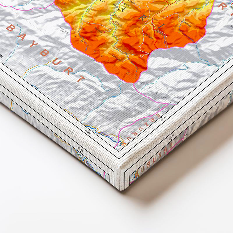 Yatay Kanvas Tablo Trabzon Coğrafi Yapı Harita Tablosu Ev Ofis Duvar Dekoru