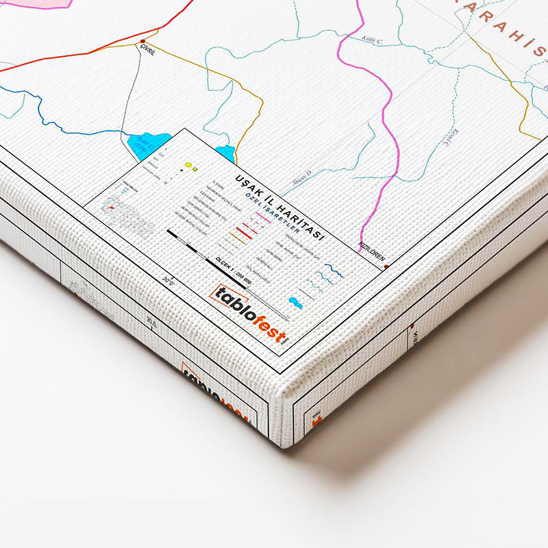 Yatay Kanvas Tablo Uşak İlçe Detaylı Harita Tablosu Ev Ofis Duvar Dekoru