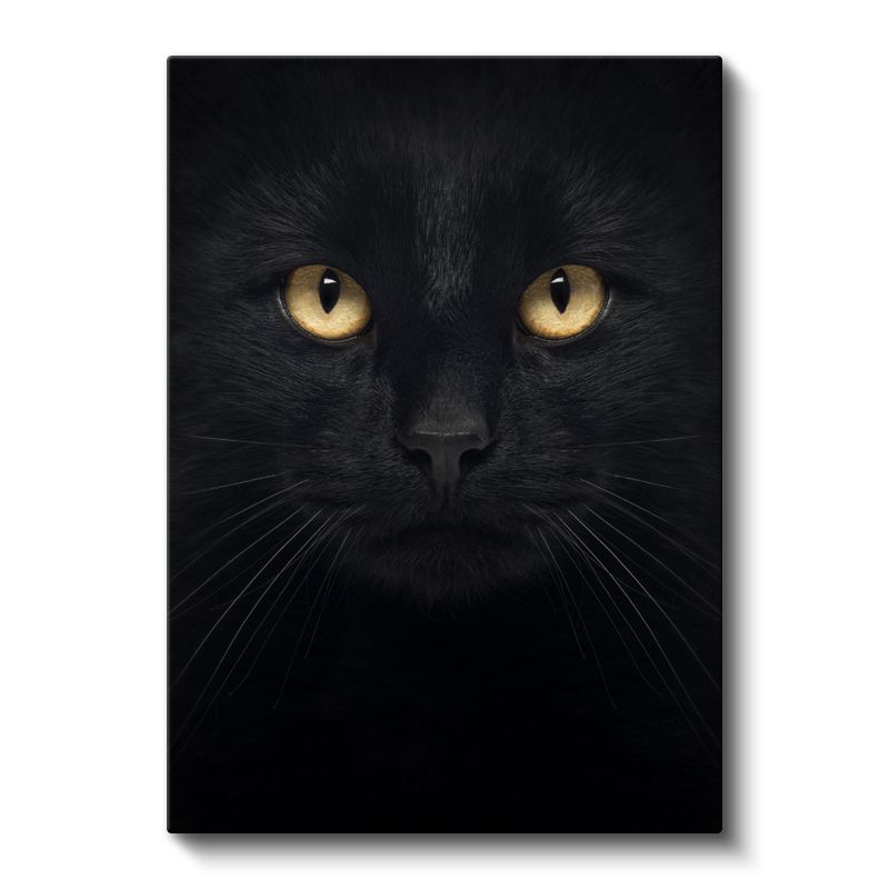 Gizemli Kedi - Altın Gözlü Bakış Kanvas Tablo