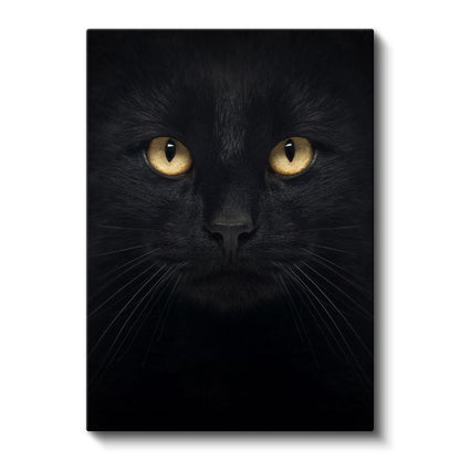 Gizemli Kedi - Altın Gözlü Bakış Kanvas Tablo
