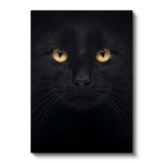 Gizemli Kedi - Altın Gözlü Bakış Kanvas Tablo