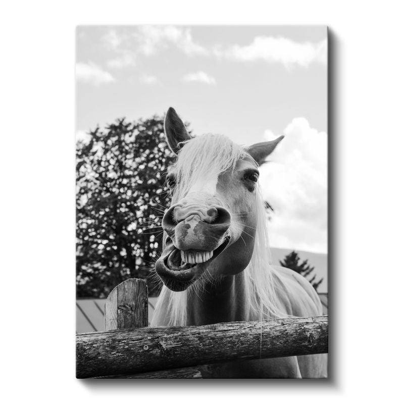 Neşeli At - Gülümseyen Ifade Kanvas Tablo