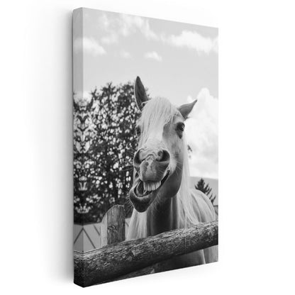 Neşeli At - Gülümseyen Ifade Kanvas Tablo