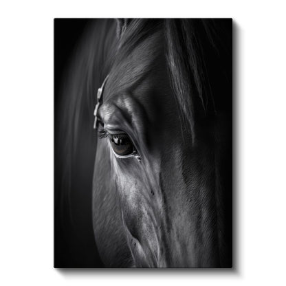 At Detayı - Derin Bakış Kanvas Tablo