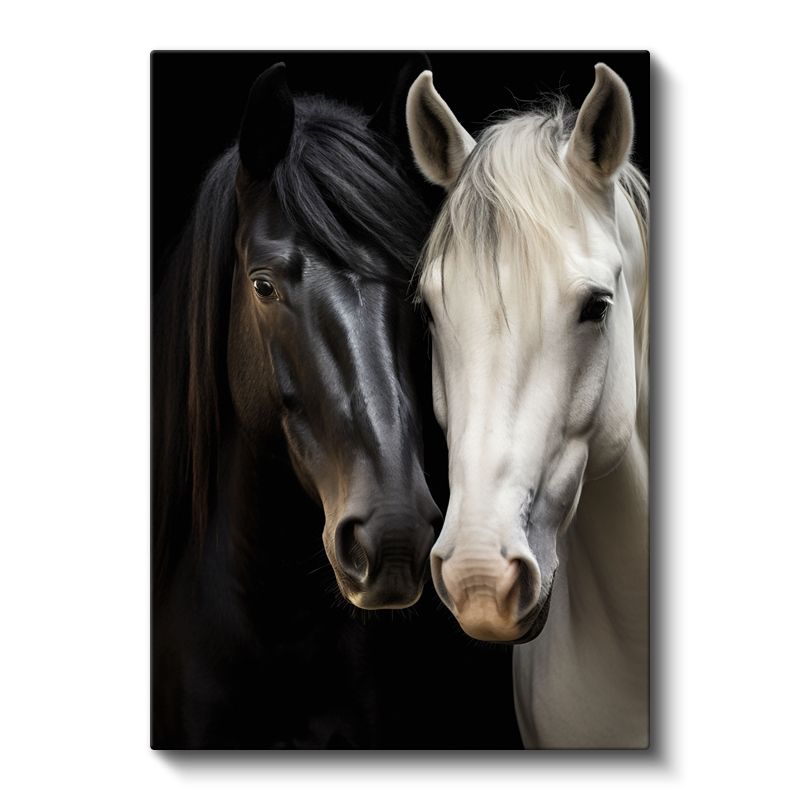 İkili Kontrast - Siyah ve Beyaz Atlar Kanvas Tablo