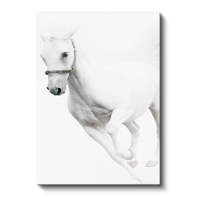 Dinamik Beyaz At - Güçlü Koşu Anı Kanvas Tablo