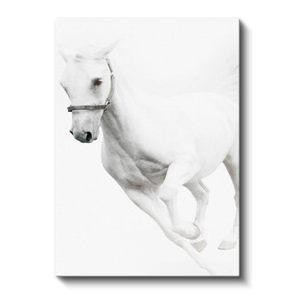 Dinamik Beyaz At - Güçlü Koşu Anı Kanvas Tablo