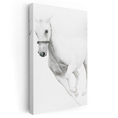 Dinamik Beyaz At - Güçlü Koşu Anı Kanvas Tablo
